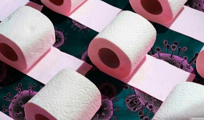В Австралии подсчитали, сколько нужно туалетной бумаги на карантин (1 фото)
