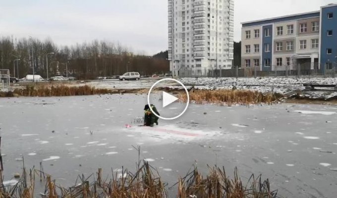 В Белоруссии коммунальщиков заставили выковыривать бело-красно-белый флаг изо льда