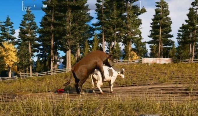 Журналист попросил Ubisoft добавить в Far Cry 5 родную ферму. Они сделали его в игре зоофилом (6 фото)
