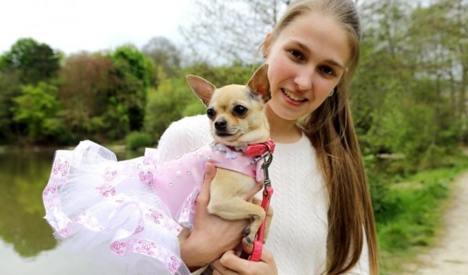 Девушка тратит тысячи долларов на наряды для собаки (11 фото)