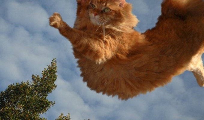 Как кота за хвост тянули или запуск с первой космической (1 фото)
