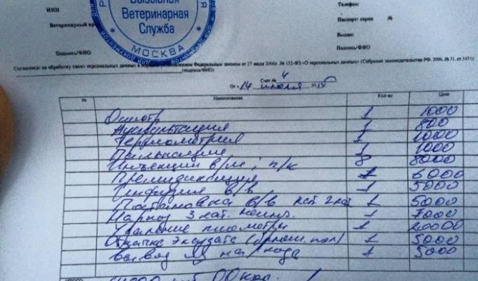 Развод в одной из московских ветклиник (2 фото)
