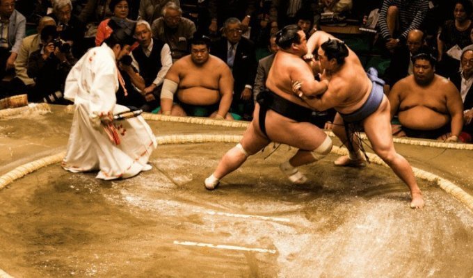 8 зубодробительных фактов о сумо (10 фото + 1 видео)