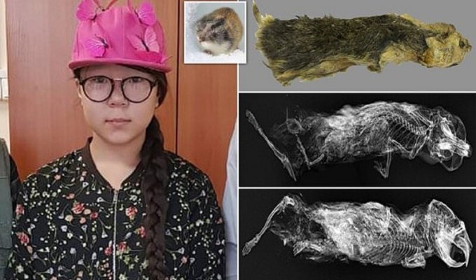 14-летняя сибирячка нашла доисторическое животное (5 фото)