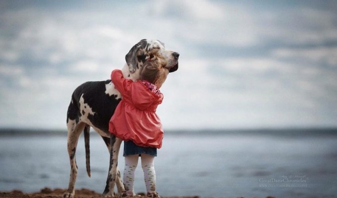 Дети и большие собаки в фотографиях Андрея Селиверстова (29 фото)