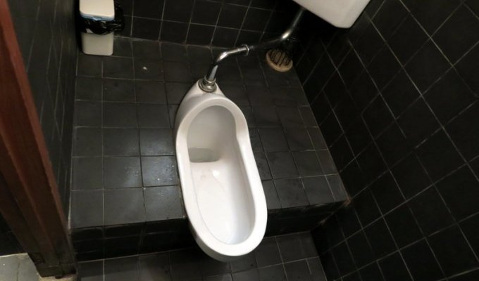 Китайцы создали туалет «Криштиану Роналду» и искусственную грудь «Бекхэм» (1 фото + 1 видео)