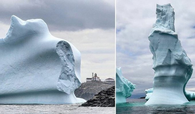 Как выглядит шествие айсбергов по Лабрадорскому морю (6 фото)