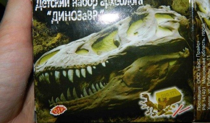 Как мы динозавра откопали (12 фото)