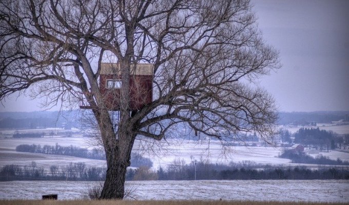 Домики на дереве со всех уголков планеты (30 фото)