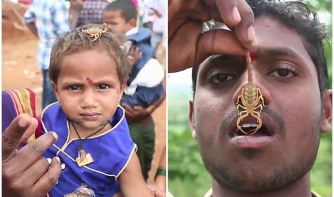 На этом фестивале в Индии местные усаживают на лицо и тело скорпионов (8 фото + 1 видео)