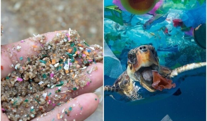 Объём микропластика в мировом океане утроился с 2000-х годов (6 фото)