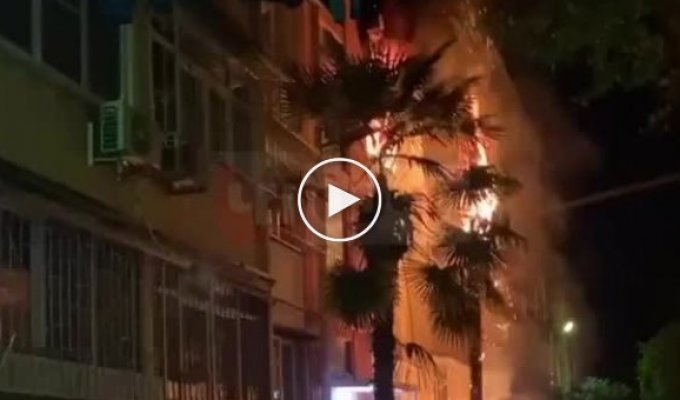 Странная реакция на пожар в квартире от девушки из Сочи