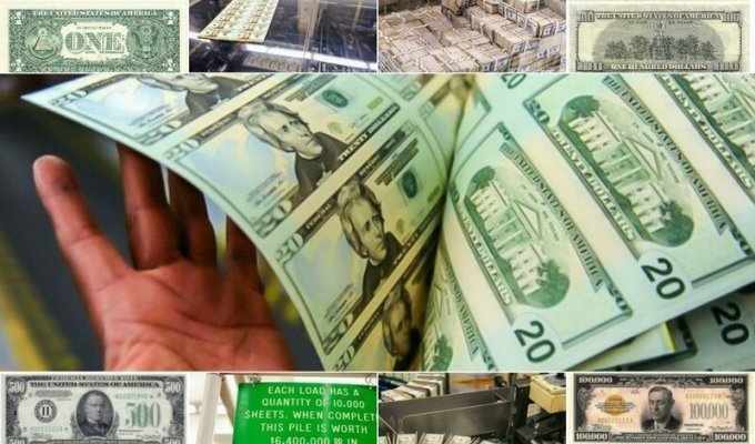 Как производят доллары США (31 фото)