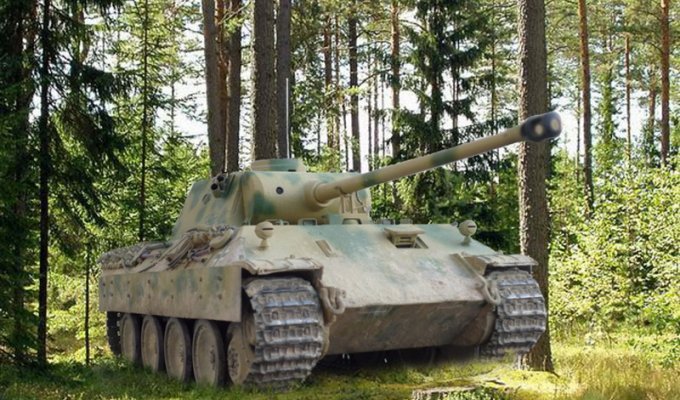 Pz. V Panther Ausf. D. Курск 1943 г. Операция «Цитадель» (9 фото)