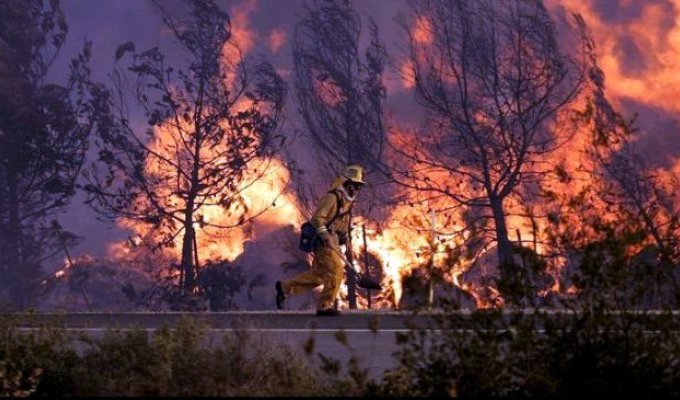 Пожары в Калифорнии (30 фото)