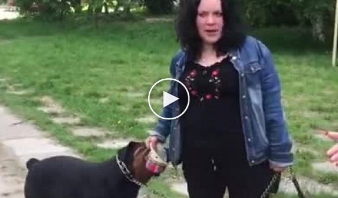Неадекватная женщина решила погулять со своей собакой без намордника возле детской площадки (мат)
