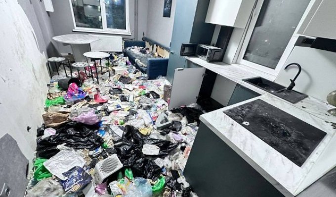 Женщина сдала квартиру в России айтишнику и ужаснулась (7 фото)