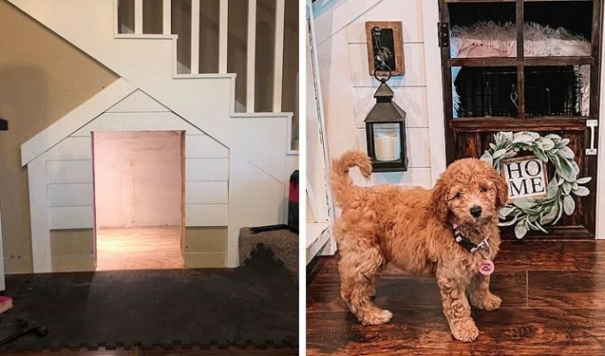 Девушка превратила пространство под лестницей в роскошный домик для собаки (10 фото + 1 видео)