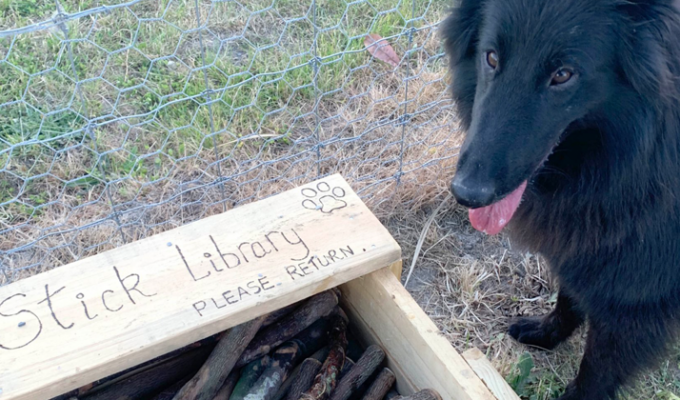 Новозеландец создал в парке собачью библиотеку (5 фото + 1 видео)
