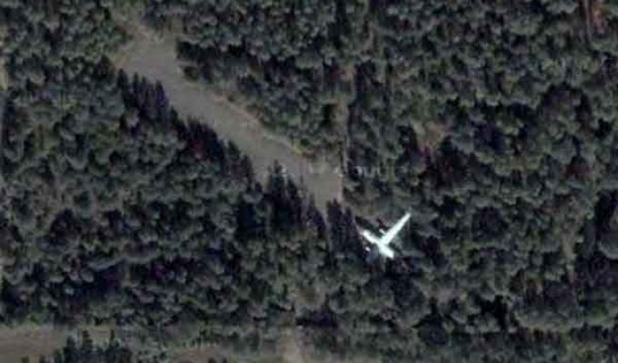  Самолет в лесу (12 фото)