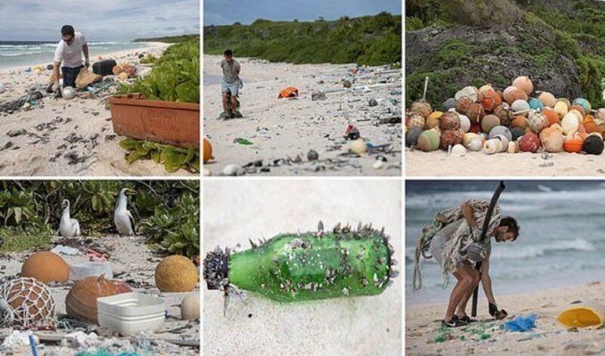 Необитаемый остров пал жертвой пластикового мусора (9 фото)