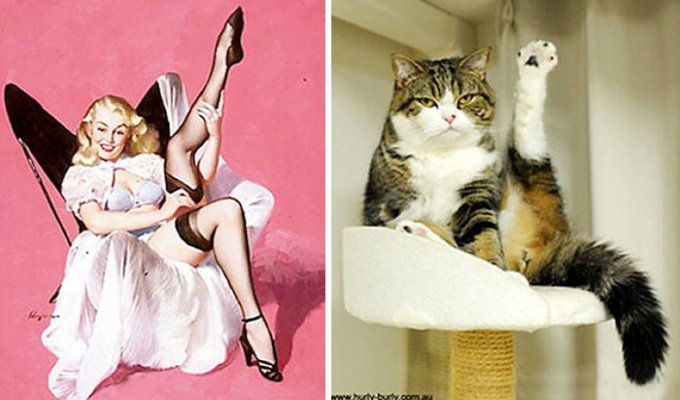 Котики, которые позируют точь-в-точь как модели в стиле пин-ап (48 фото)