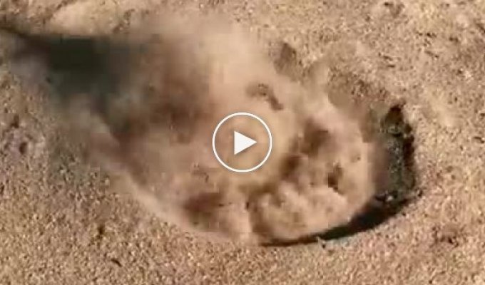 Аномальная жара. Что произойдет с песком в пустыне, если на него налить воду
