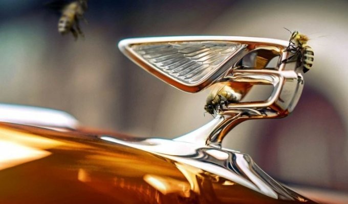 Компания Bentley поставила рекорд, но не по скорости, а по производству мёда (7 фото)