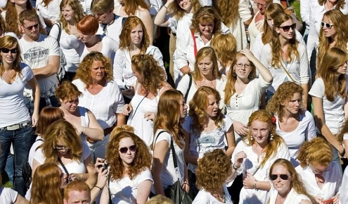Фестиваль рыжих в Голландии (10 фото)