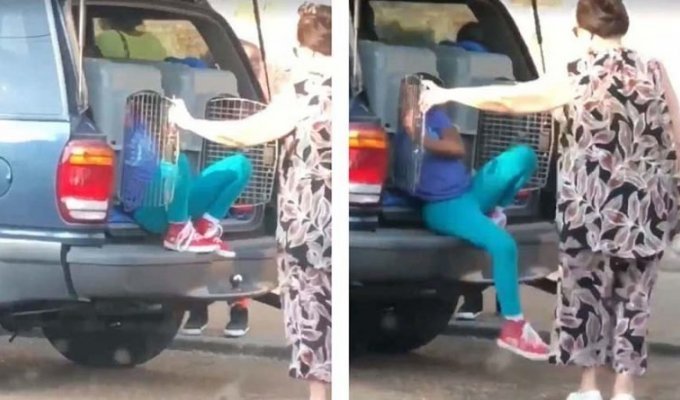 В США арестовали 62-летнюю женщину, которая перевозила своих внуков в собачьих клетках (4 фото + 1 видео)