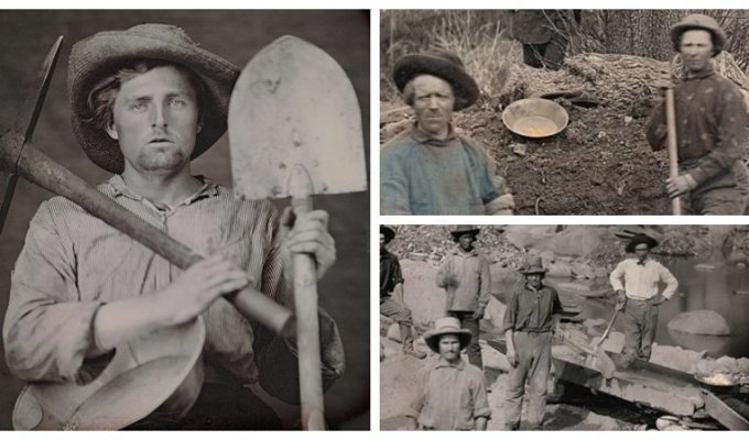 Редкие фотографии 19 века: золотая лихорадка в Калифорнии (11 фото)
