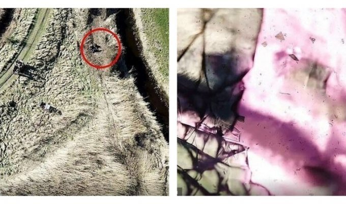 Охотник расстрелял шпионский дрон зоозащитников (9 фото + 1 видео)