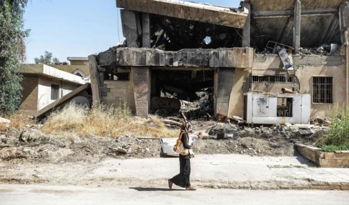 Житель Мосула пытается восстановить библиотеку, сожженную боевиками ИГ (16 фото)