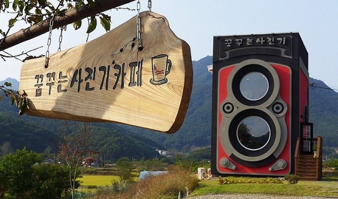 Кафе-фотокамера в Южной Корее (13 фото)