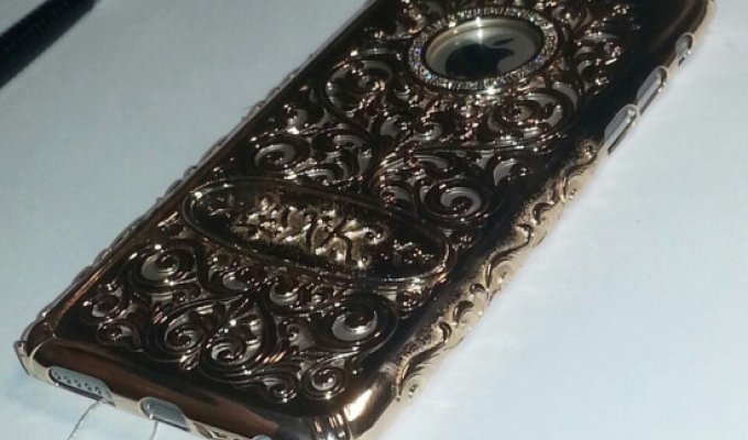 Чиновник из Якутии подарил жене чехол для iPhone 6 за 550 000 рублей (3 фото)