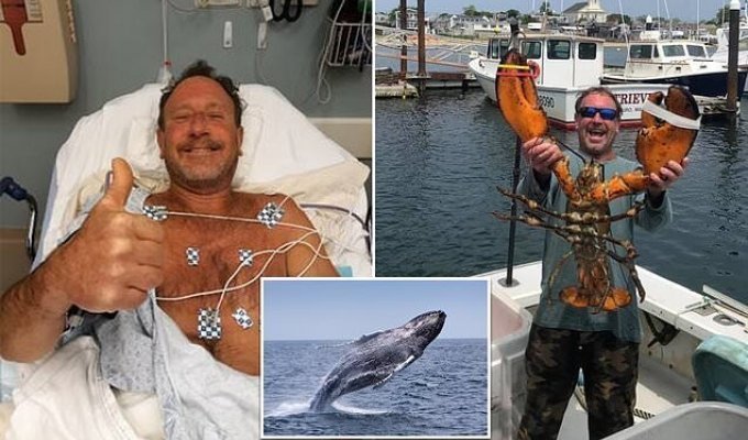 В США горбатый кит проглотил ныряльщика, а потом выплюнул его (5 фото)