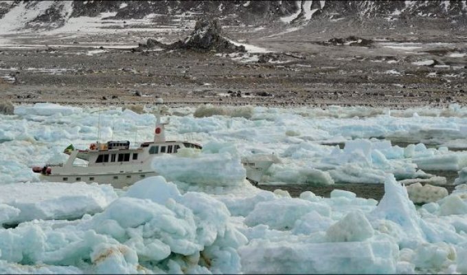 Бразильская частная яхта легла на дно в водах Антарктики (6 фото)