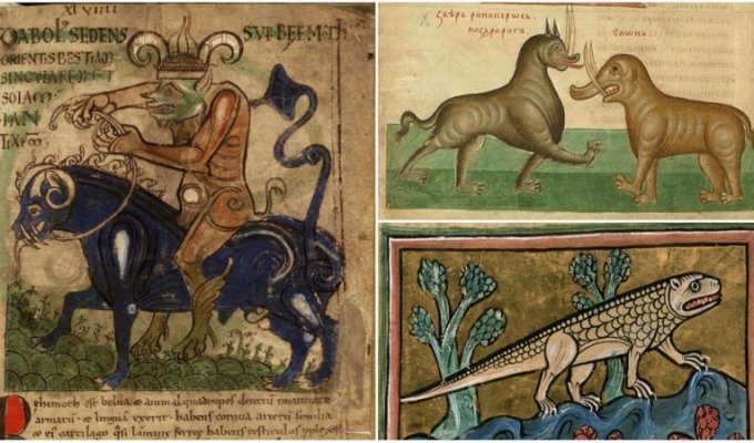 Как в средневековой Европе изображали животных, которых никогда не видели (25 фото)