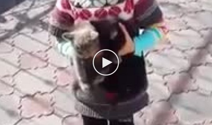 Девочка просит оставить котёнка