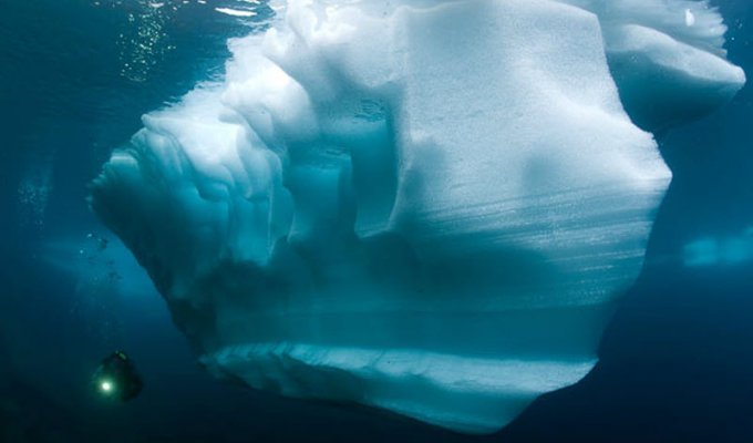 Ледяной дайвинг (15 фото)