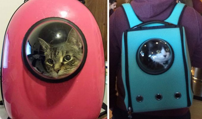 Рюкзак-переноска с иллюминатором, который позволит коту почувствовать себя космонавтом (6 фото)
