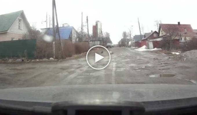 Разборки на дороге в Петрозаводске