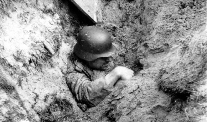 Архивные фотографии Второй Мировой Войны (52 фото)