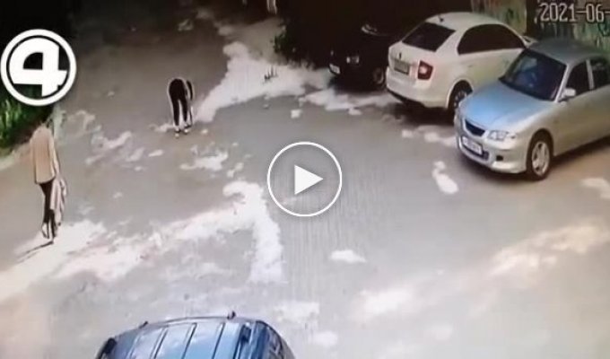 В Екатеринбурге парочка решила поджечь тополиный пух и случайно спалила автомобиль