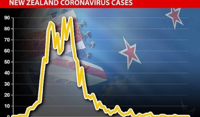 В госпиталях Новой Зеландии не осталось больных коронавирусом (4 фото)