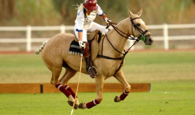 Интересные факты о «короле спорта» – конном поло (8 фото)