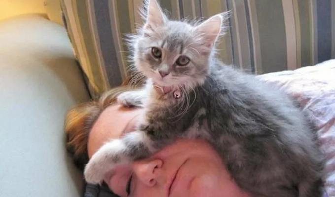 Зачем кошки спят на человеке? 5 причин (4 фото)