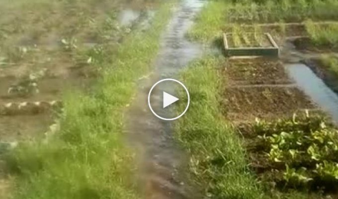 Наводнение в Канске