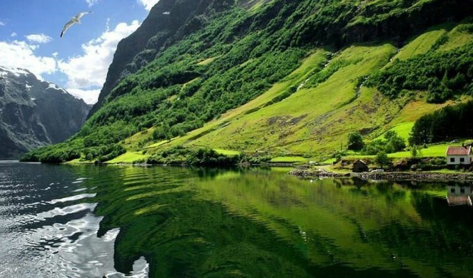 Поразительная Норвегия в фотографиях (47 фото)