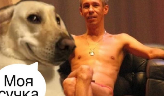 Панин и собака: соцсети жестоко троллят предпочтения любимца Путина